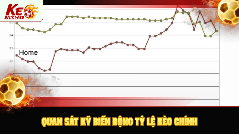 Cần quan sát kỹ biến động tỷ lệ kèo chính